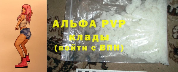 крисы Абаза