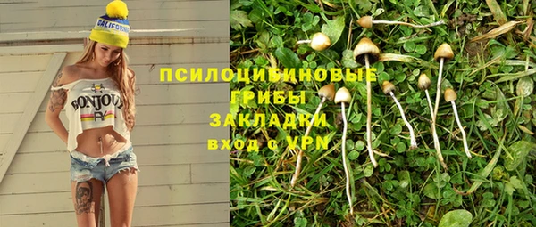 соль ск Нязепетровск