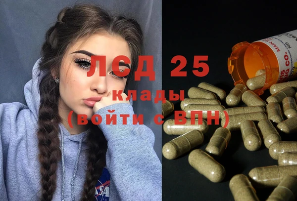 крисы Абаза