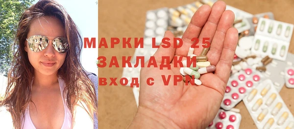 крисы Абаза