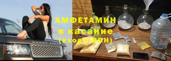 крисы Абаза