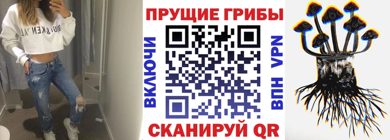 Псилоцибиновые грибы MAGIC MUSHROOMS  наркота  Сокол 