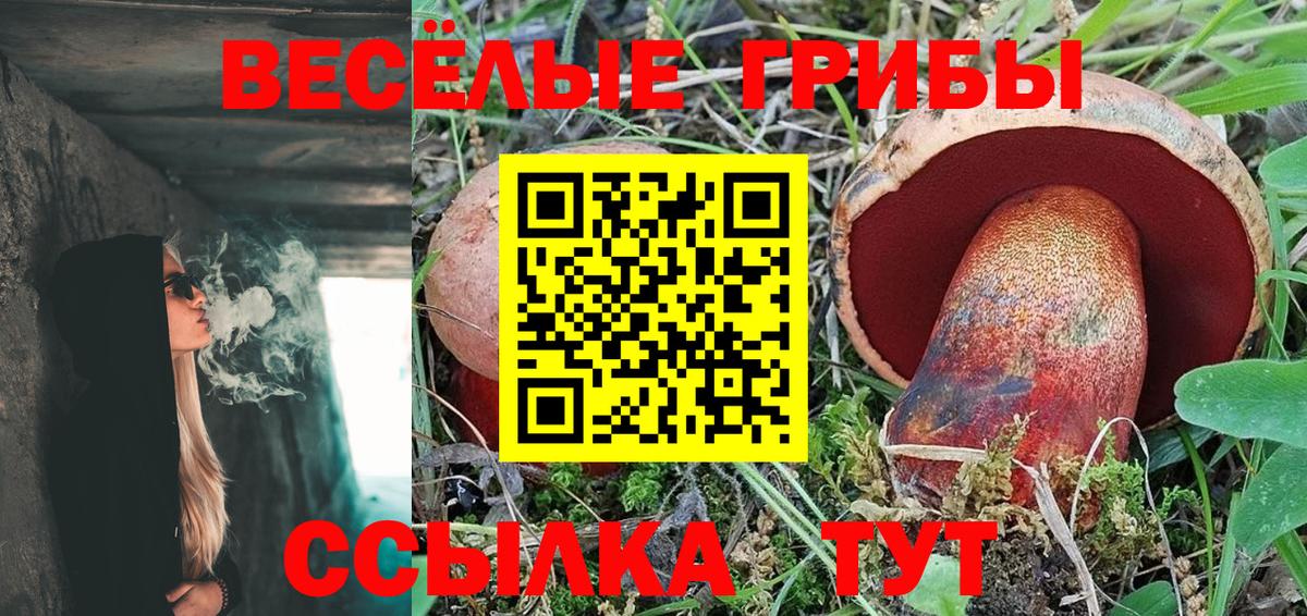 Галлюциногенные грибы Cubensis  Вход с VPN  где продают   Сокол 